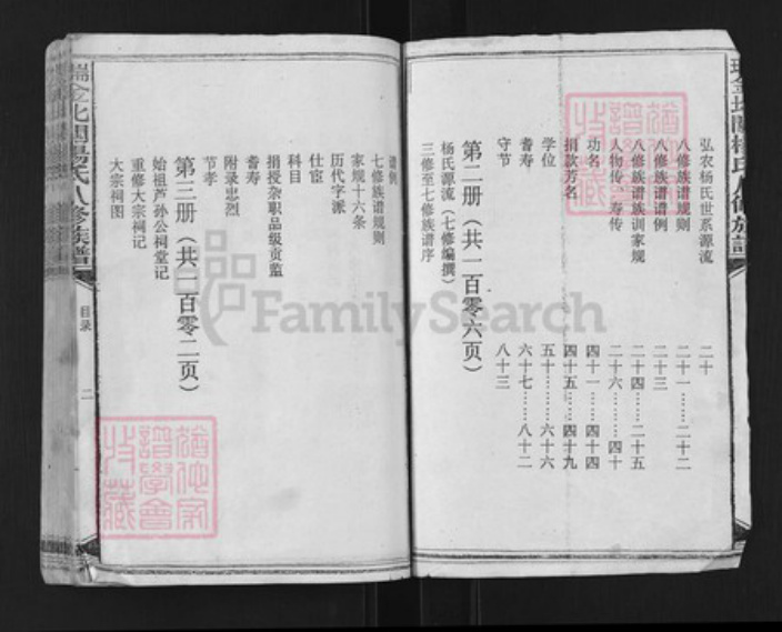 江西省赣州市瑞金市杨氏族谱-瑞金北关杨氏八修族谱.pdf电子版插图2