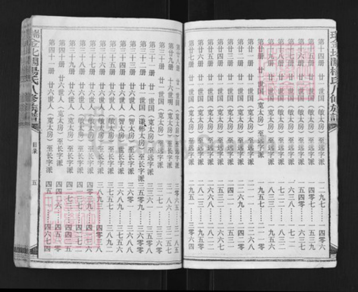 江西省赣州市瑞金市杨氏族谱-瑞金北关杨氏八修族谱.pdf电子版插图5