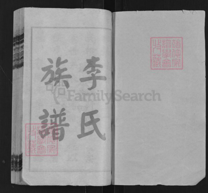 湖南省湘潭市湘乡市山枣镇李氏报本堂族谱-桥头李氏四修族谱.pdf电子版插图1
