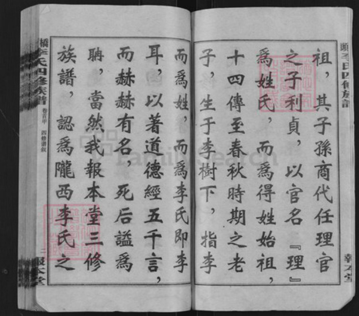 湖南省湘潭市湘乡市山枣镇李氏报本堂族谱-桥头李氏四修族谱.pdf电子版插图3
