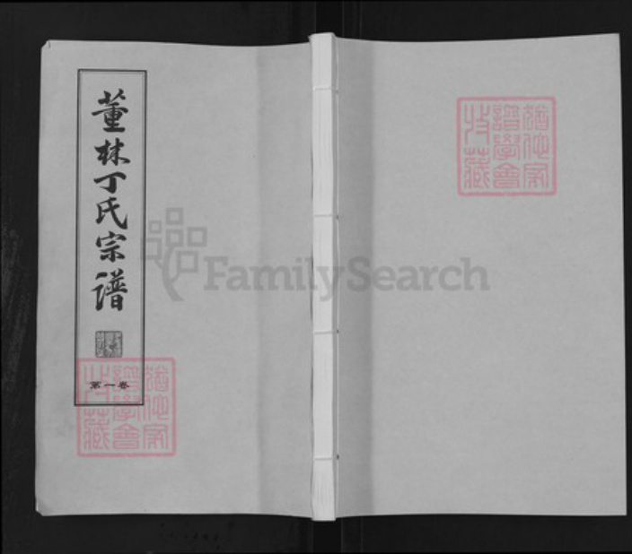 江苏省常州市武进县丁氏双桂堂族谱-董林丁氏宗谱.pdf电子版插图