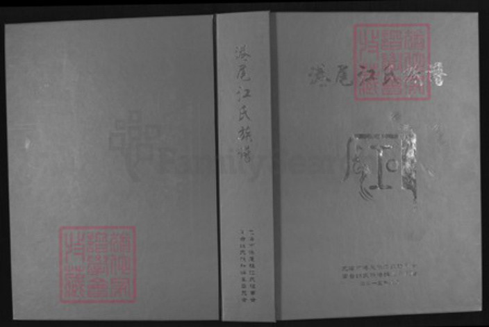 福建省漳州市龙海市江氏族谱-港尾江氏族谱.pdf电子版