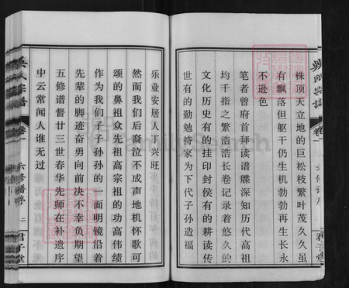 安徽省安庆市桐城市吴氏君子堂族谱-吴氏宗谱.pdf电子版插图2