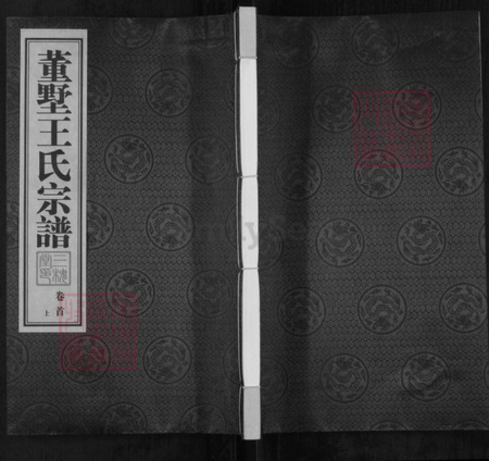 江苏省常州市天宁区郑陆镇王氏三槐堂族谱-董墅王氏宗谱.pdf电子版插图