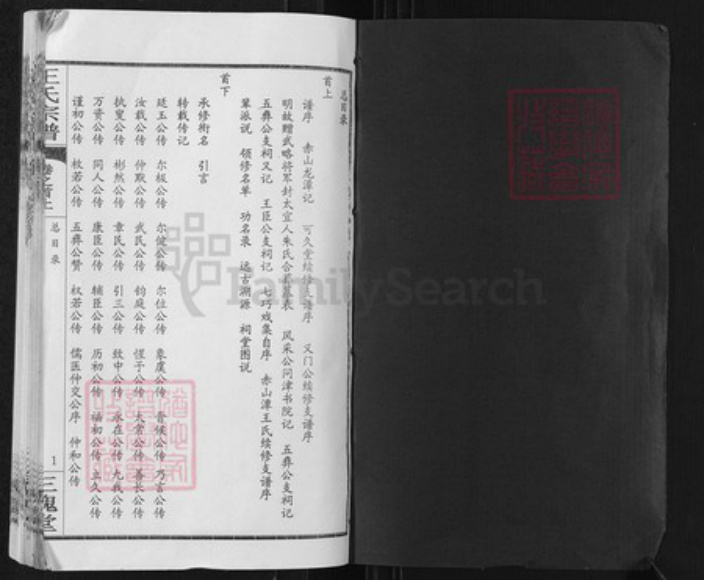 湖北省武汉市新洲区王氏三槐堂族谱-王氏宗谱.pdf电子版插图1