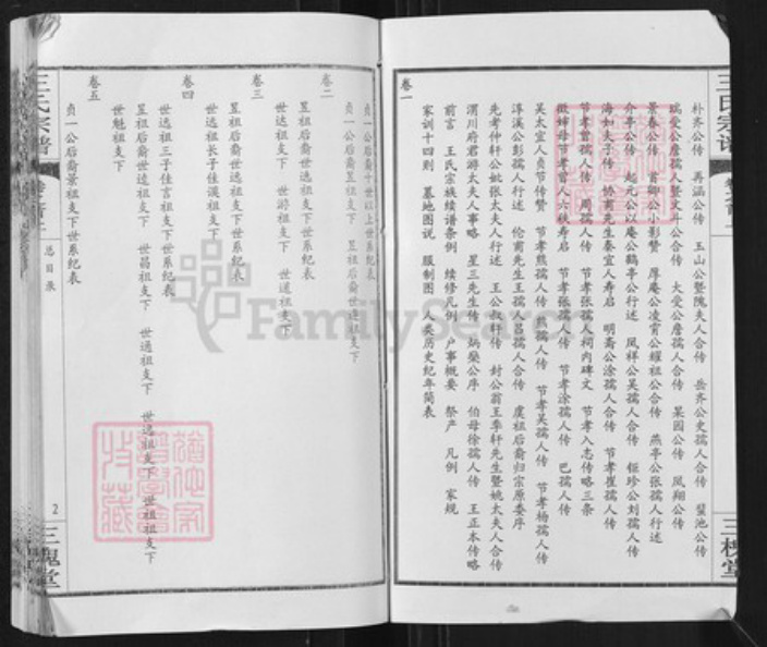 湖北省武汉市新洲区王氏三槐堂族谱-王氏宗谱.pdf电子版插图2
