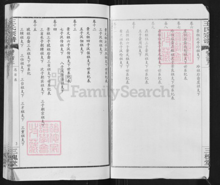 湖北省武汉市新洲区王氏三槐堂族谱-王氏宗谱.pdf电子版插图3