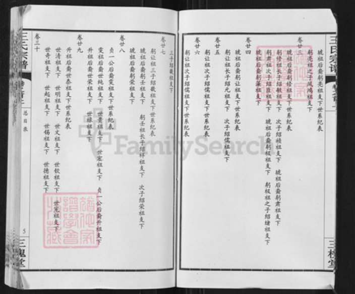 湖北省武汉市新洲区王氏三槐堂族谱-王氏宗谱.pdf电子版插图5