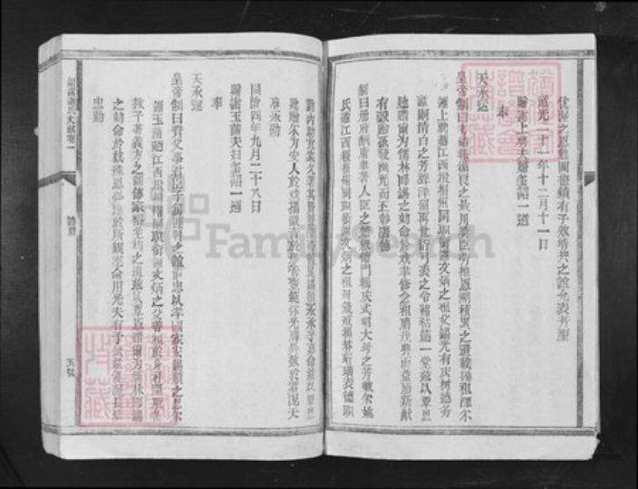 江西省吉安市吉水县谢氏族谱-银溪谢氏文献[4卷文献8卷].pdf电子版插图5