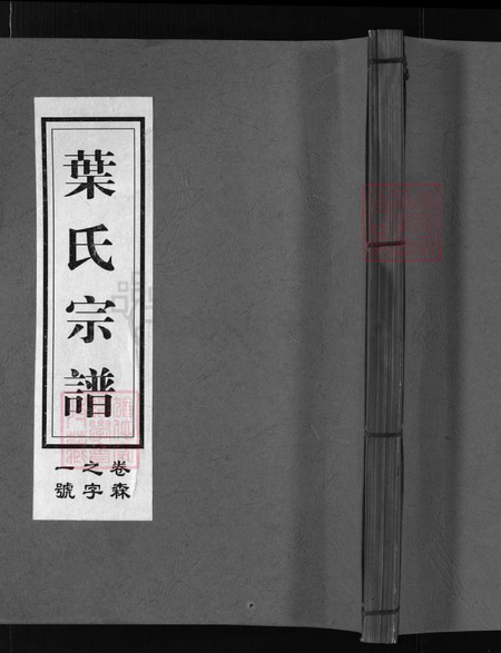 浙江省叶氏族谱-南阳叶氏宗谱 [37卷].pdf电子版插图