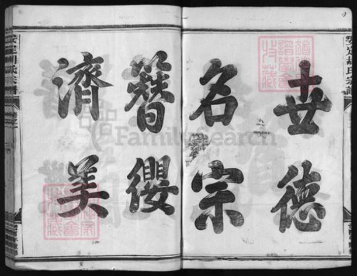 浙江省胡氏族谱-安定胡氏宗谱 [8卷].pdf电子版插图3