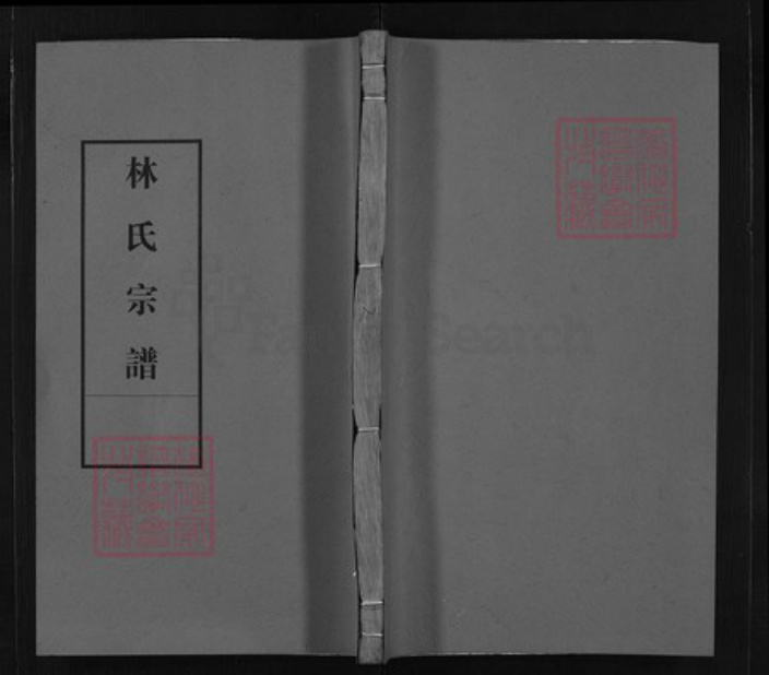 江西省上饶市林氏族谱-林氏宗谱 [不分卷].pdf电子版插图