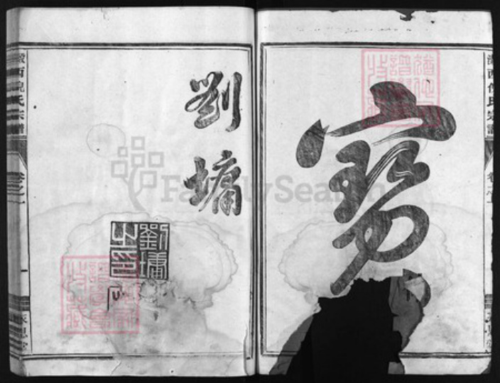 浙江省倪氏族谱-瀫西倪氏宗谱 [8卷].pdf电子版插图2