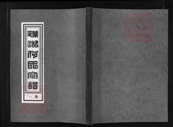 浙江省金华市东阳市东阳何氏族谱-莲湖何氏宗谱 [30卷].pdf电子版插图
