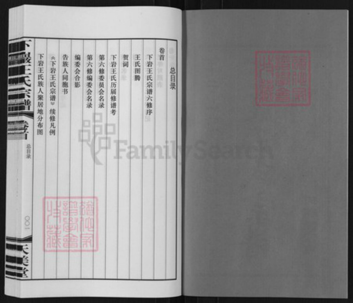 江苏省常州市武进县前黄镇王氏天美堂族谱-下严王氏宗谱.pdf电子版插图2