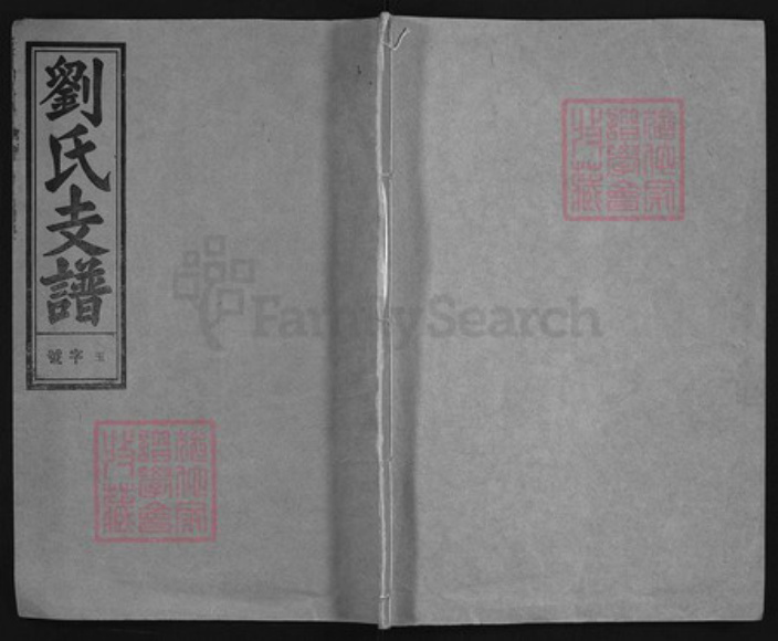 安徽省安庆市潜山市刘氏族谱-刘氏支谱 [45卷,首末各1卷].pdf电子版插图