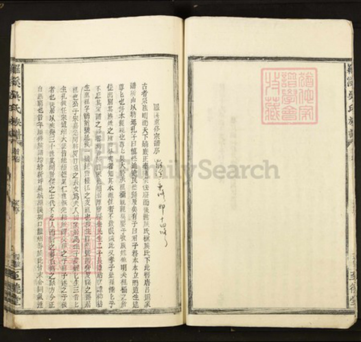 江西省宜春市丰城市吴氏至德堂族谱-罗溪吴氏族谱.pdf电子版插图4