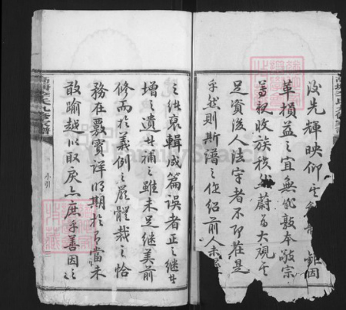 湖南省湘潭市李氏族谱-湘潭高塘李氏九修家谱.pdf电子版插图2