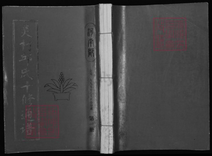 江西省赣州市宁都县洛口镇邱氏族谱-灵村邱氏十修通谱.pdf电子版