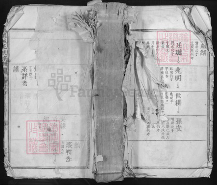 江西省吉安市吉水县八都镇毛氏族谱-龙城毛氏三派宗谱.pdf电子版