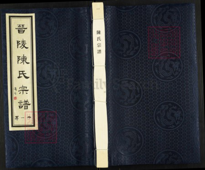 江苏省常州市武进县陈氏星聚堂族谱-晋陵陈氏宗谱.pdf电子版插图