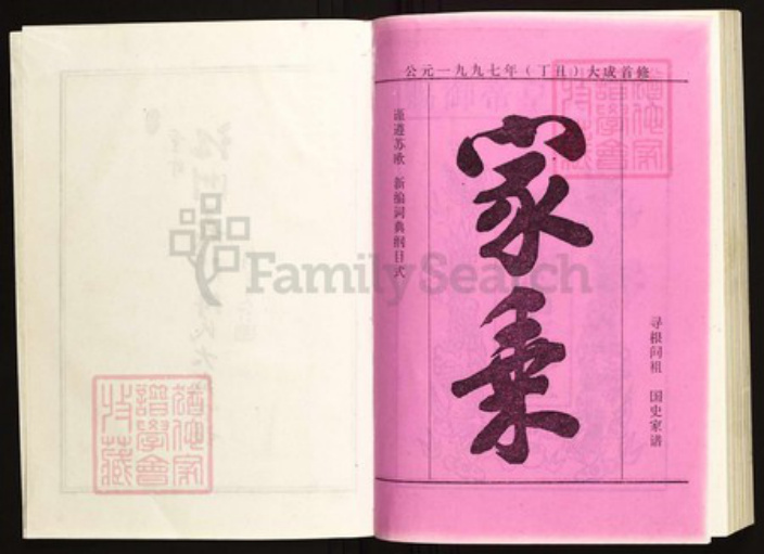 江西省九江市德安县陈氏族谱-义门陈氏大成宗谱.pdf电子版插图2