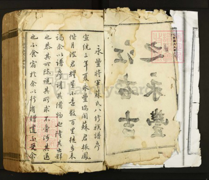 江西省吉安市永丰县苏氏族谱-永丰将军苏氏八修族谱.pdf电子版插图2