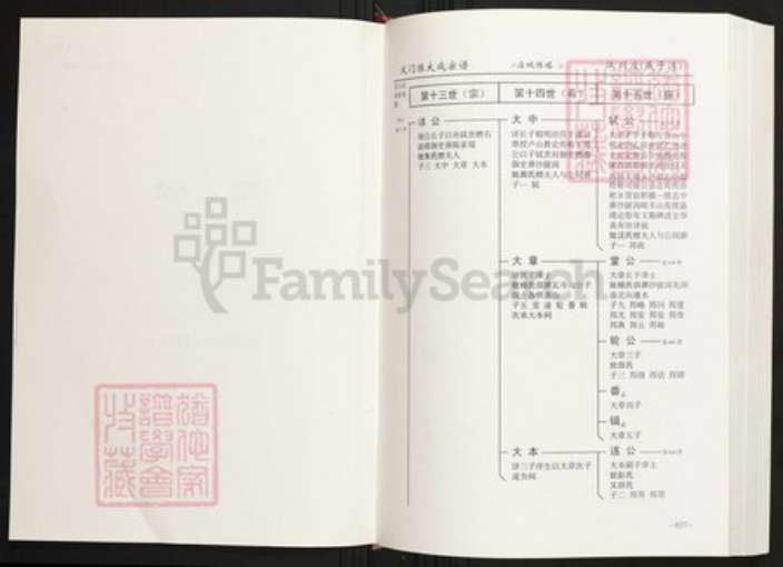 湖北省孝感市汉川市陈氏族谱-中华义门陈氏大宗谱汉川庄(燕子湾).pdf电子版插图2