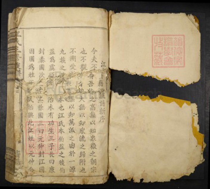 江西省赣州市兴国县江氏族谱-江氏三修族谱.pdf电子版插图1