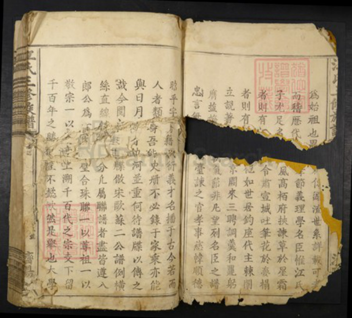 江西省赣州市兴国县江氏族谱-江氏三修族谱.pdf电子版插图2