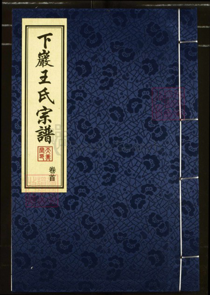 四川省阿坝藏族羌族自治州九寨沟县永乐镇王氏天美堂族谱-下岩王氏宗谱.pdf电子版插图
