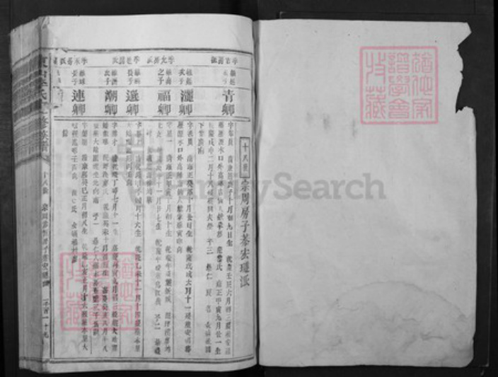 江西省赣州市宁都县李氏族谱-东山李氏十一修族谱.pdf电子版插图1