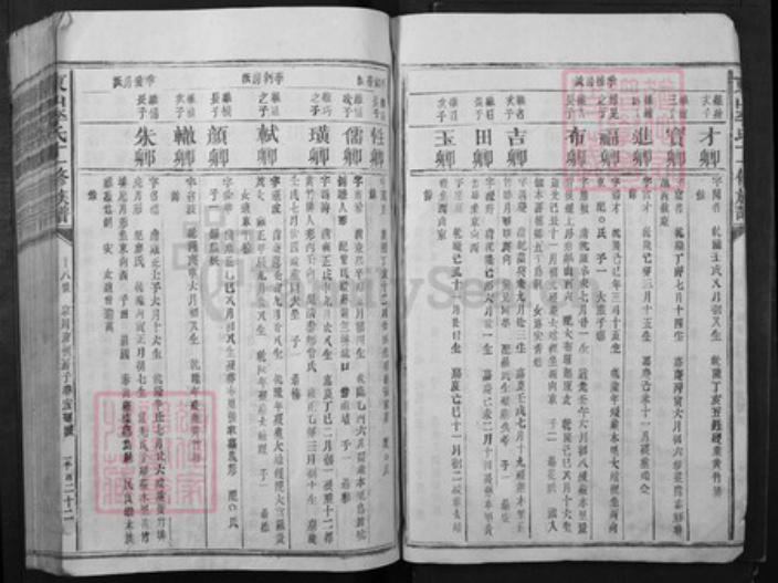 江西省赣州市宁都县李氏族谱-东山李氏十一修族谱.pdf电子版插图4
