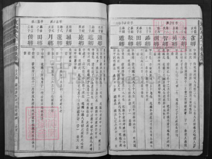 江西省赣州市宁都县李氏族谱-东山李氏十一修族谱.pdf电子版插图5