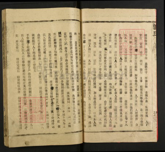 江西省上饶市郭氏族谱-郭氏宗谱.pdf电子版插图2
