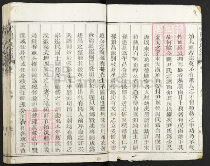 浙江省丽水市遂昌县大柘尹氏族谱-平昌尹氏宗谱.pdf电子版插图2