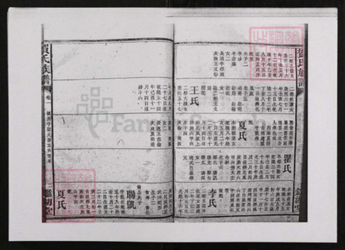 江西省贺氏鉴湖堂族谱-贺氏族谱.pdf电子版插图2