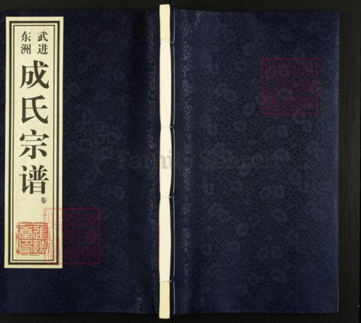 湖北省孝感市汉川市成氏族谱-成氏宗谱.pdf电子版插图