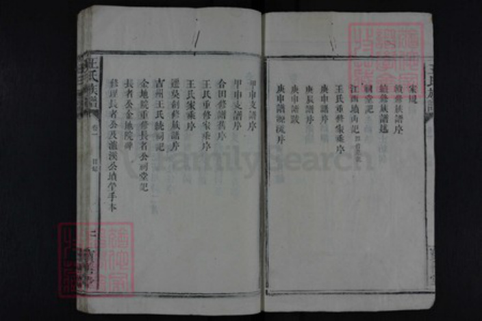 湖南省益阳市安化县王氏族谱-王氏族谱.pdf电子版插图5