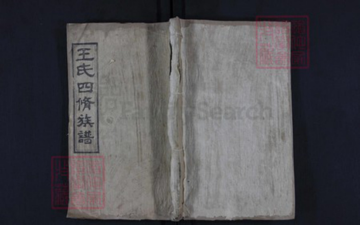 湖南省湘潭市湘乡市湘乡王氏族谱-王氏四修族谱.pdf电子版插图