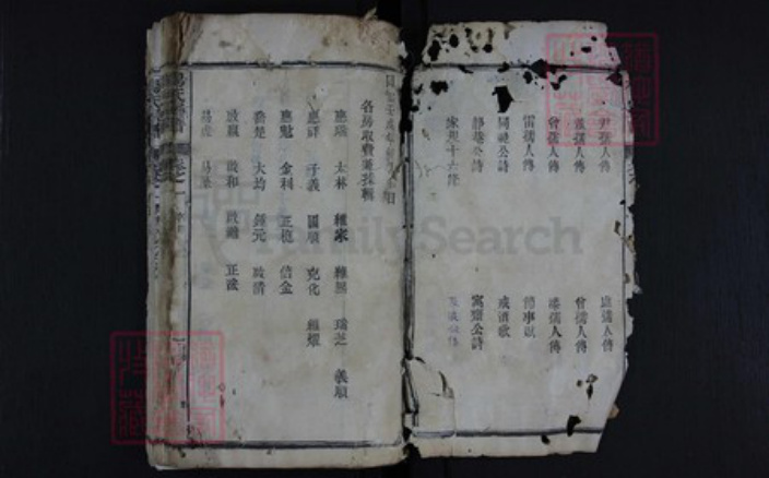 湖北省黄冈市红安县杏花乡杨氏族谱-杨氏宗谱.pdf电子版插图2