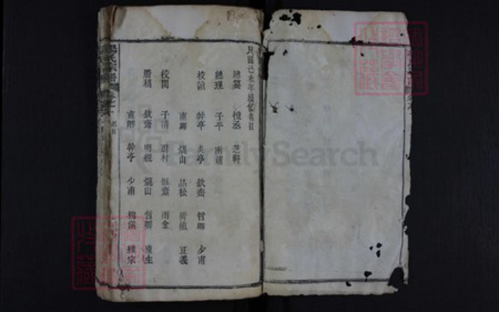 湖北省黄冈市红安县杏花乡杨氏族谱-杨氏宗谱.pdf电子版插图4