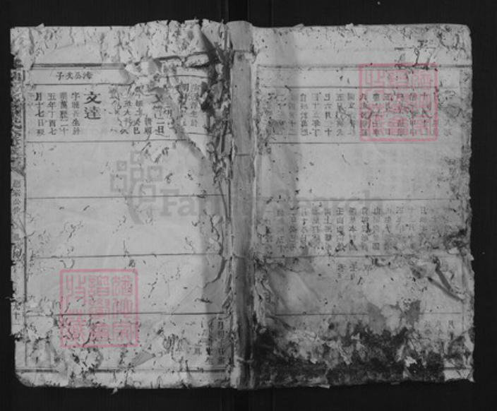 江西省赣州市瑞金市罗氏族谱-瑞金密溪罗氏六修族谱.pdf电子版插图