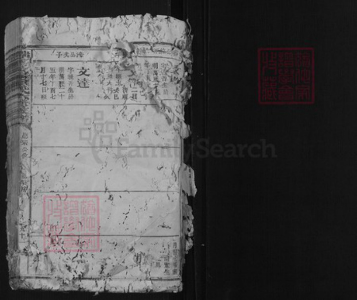 江西省赣州市瑞金市罗氏族谱-瑞金密溪罗氏六修族谱.pdf电子版插图1