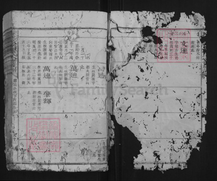 江西省赣州市瑞金市罗氏族谱-瑞金密溪罗氏六修族谱.pdf电子版插图2