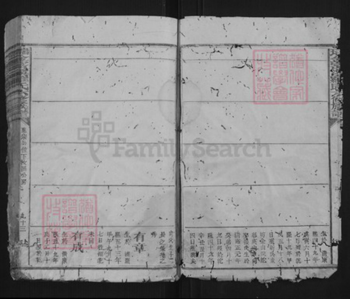 江西省赣州市瑞金市罗氏族谱-瑞金密溪罗氏六修族谱.pdf电子版插图4