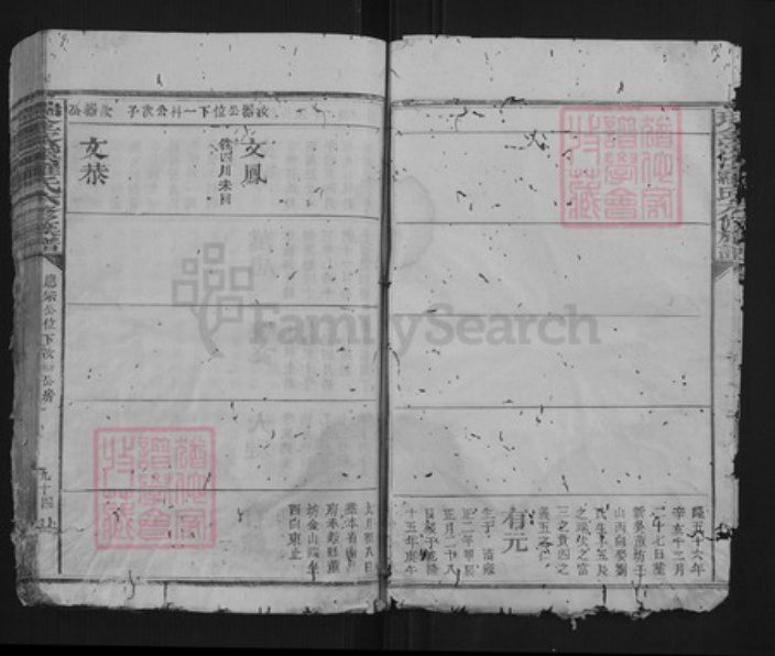 江西省赣州市瑞金市罗氏族谱-瑞金密溪罗氏六修族谱.pdf电子版插图5