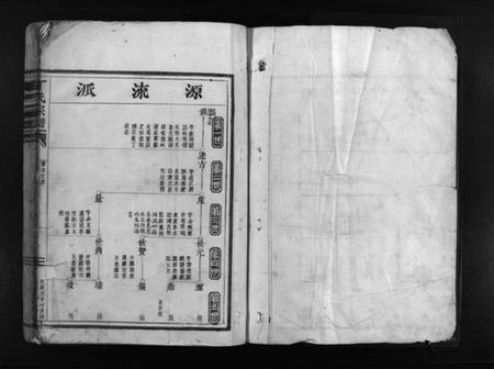 浙江丁氏族谱-丁氏宗谱 [不分卷].pdf电子版插图1