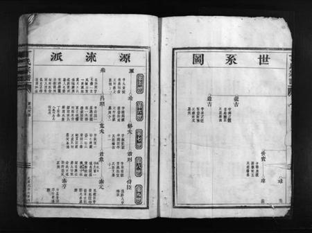 浙江丁氏族谱-丁氏宗谱 [不分卷].pdf电子版插图2