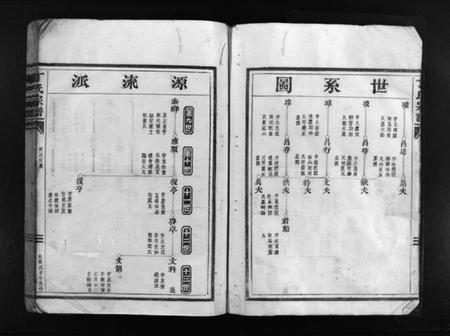 浙江丁氏族谱-丁氏宗谱 [不分卷].pdf电子版插图5